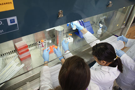 picture of students doing a chemical analysis lab