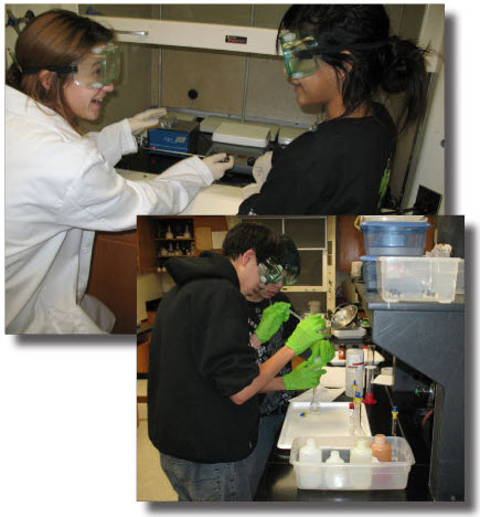 picture of students in chem analysis lab