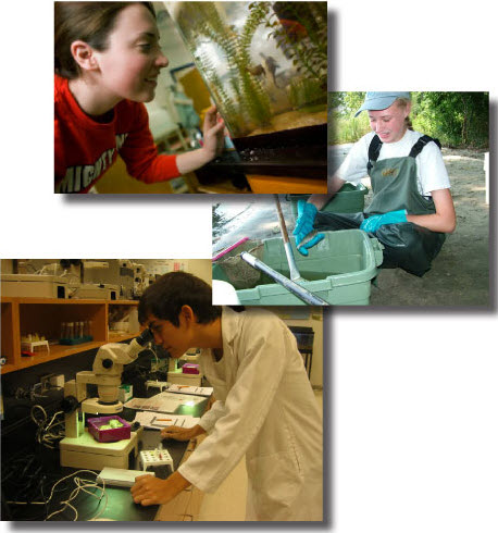 picture of oceanography lab activities